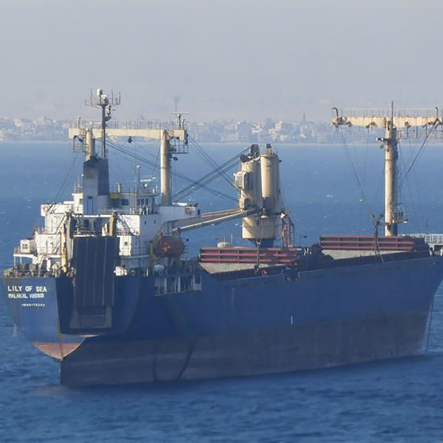 MV LILY OF SEA