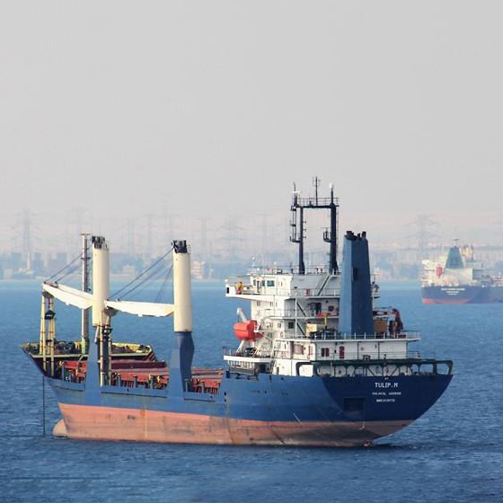 MV TULIP M